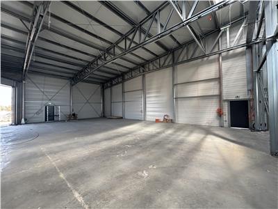 Inchiriere depozit/hala/spatiu industrial Mogosoaia - Buftea