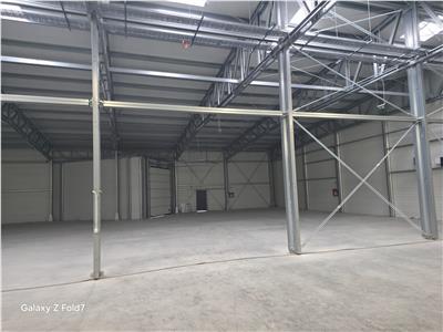 Inchiriere depozit/hala/spatiu industrial Mogosoaia - Buftea
