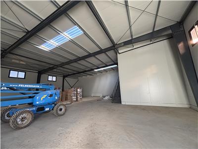 Vanzare depozit/hala/spatiu industrial Theodor Pallady - Drumul Intre Tarlale - Oxigenului