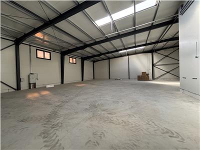 Vanzare depozit/hala/spatiu industrial Theodor Pallady - Drumul Intre Tarlale - Oxigenului