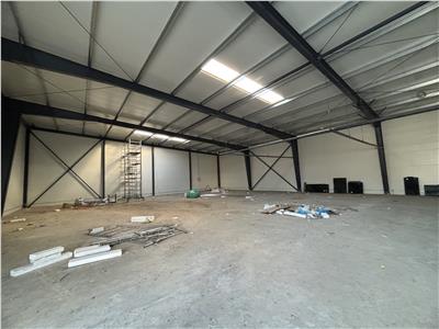 Vanzare depozit/hala/spatiu industrial Theodor Pallady - Drumul Intre Tarlale - Oxigenului