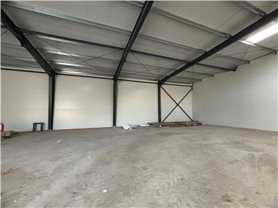 Vanzare depozit/hala/spatiu industrial Theodor Pallady - Drumul Intre Tarlale - Oxigenului