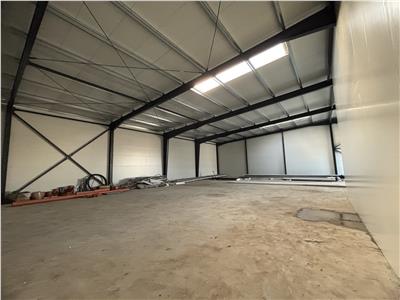 Vanzare depozit/hala/spatiu industrial Theodor Pallady - Drumul Intre Tarlale - Oxigenului