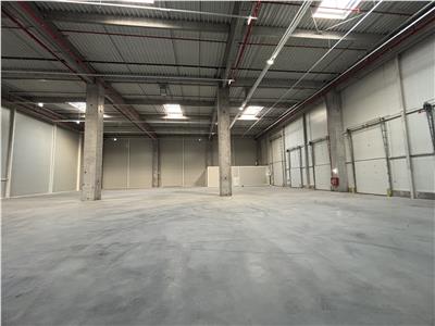 Vanzare depozit/hala/spatiu industrial Theodor Pallady - A2