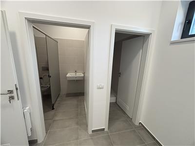 Vanzare depozit/hala/spatiu industrial Theodor Pallady - A2