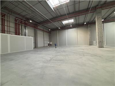 Vanzare depozit/hala/spatiu industrial Theodor Pallady - A2