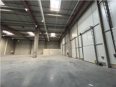 Vanzare depozit/hala/spatiu industrial Theodor Pallady - A2