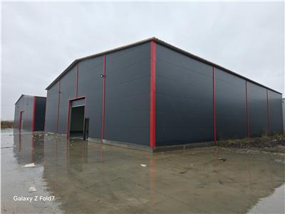 Inchiriere depozit/hala/spatiu industrial Theodor Pallady - Gara Catelul