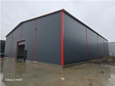 Inchiriere depozit/hala/spatiu industrial Theodor Pallady - Gara Catelul