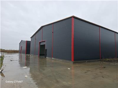 Inchiriere depozit/hala/spatiu industrial Theodor Pallady - Gara Catelul