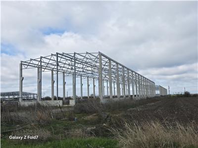 Vanzare depozit/hala/spatiu industrial Mogosoaia - Buftea