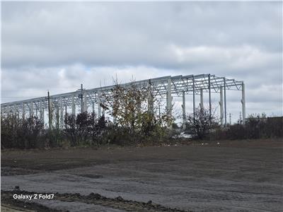 Vanzare depozit/hala/spatiu industrial Mogosoaia - Buftea