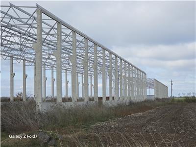 Inchiriere depozit/hala/spatiu industrial Mogosoaia - Buftea