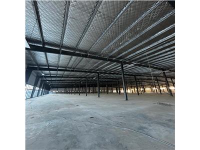 Inchiriere depozit/hala/spatiu industrial/showroom Afumati - DN2 - Dorally, Ilfov