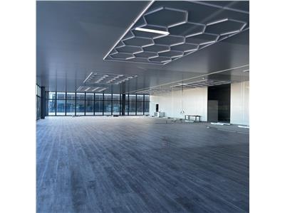 Inchiriere depozit/hala/spatiu industrial/showroom Afumati - DN2 - Dorally, Ilfov