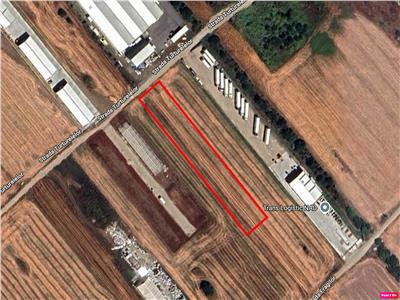 Vanzare teren Magurele - Varteju - Centura, ILFOV