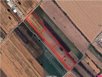 Vanzare teren Magurele - Varteju - Centura, ILFOV