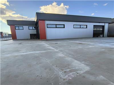 Inchiriere depozit/hala/spatiu industrial Domnesti - Centura