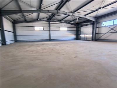 Inchiriere depozit/hala/spatiu industrial Domnesti - Centura