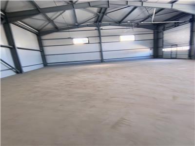 Inchiriere depozit/hala/spatiu industrial Domnesti - Centura