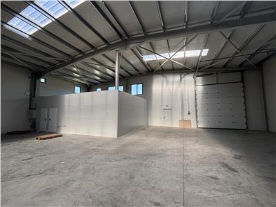 Inchiriere depozit/hala/spatiu industrial Chiajna - Chitila - Rudeni