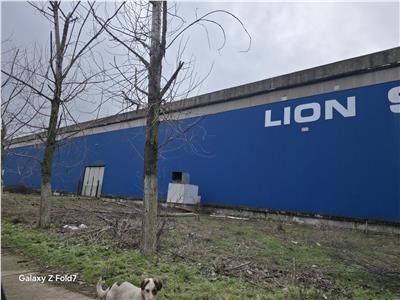 Vanzare spatiu industrial/hala/depozit Giurgiu - Port, Giurgiu
