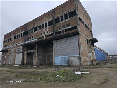 Inchiriere spatiu industrial/hala/depozit Giurgiu - Port, Giurgiu