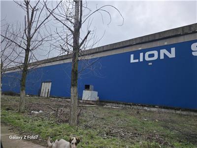 Inchiriere spatiu industrial/hala/depozit Giurgiu - Port, Giurgiu