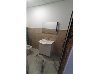 Vanzare depozit/hala/spatiu industrial Theodor Pallady - Drumul Intre Tarlale - Oxigenului