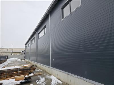 Vanzare depozit/hala/spatiu industrial Theodor Pallady - Drumul Intre Tarlale - Oxigenului