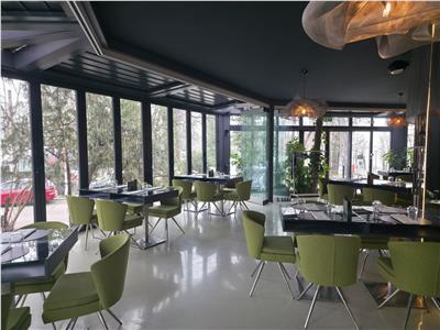 Vanzare spatiu comercial/restaurant/afacere la cheie  Nordului - Herastrau Parc, Bucuresti