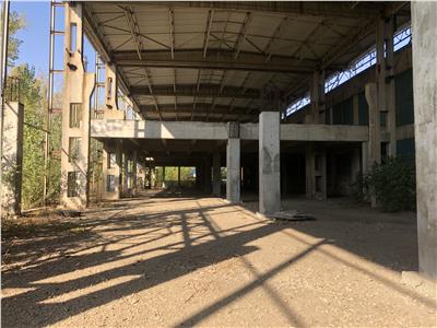 Vanzare hala/depozit Berceni - IMGB, Bucuresti
