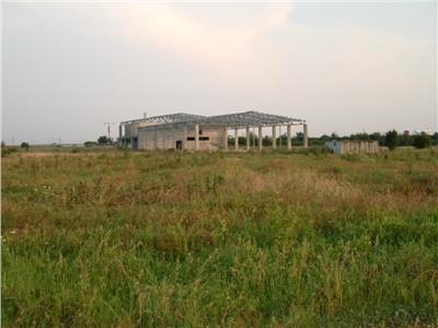 Vanzare depozit/hala Militari - Chiajna - Centura, Bucuresti