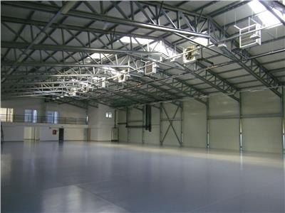 Inchiriere depozit/hala/spatiu industrial Theodor Pallady - Drumul Intre Tarlale - Oxigenului, Bucuresti